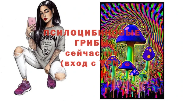 ПСИЛОЦИБИНОВЫЕ ГРИБЫ Балахна