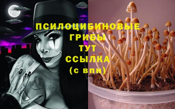 амф Балабаново
