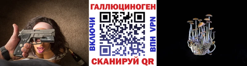 купить наркотики сайты  Котельниково  Псилоцибиновые грибы Magic Shrooms 